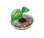 senseo sustainability coffee pads contents