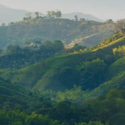 banner nachhaltigkeit