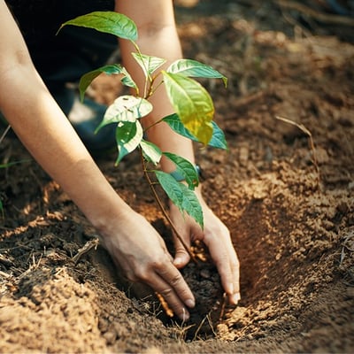 lokale initiativen 1x1