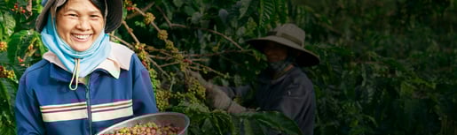 senseo sustainability woman harvesting coffee background